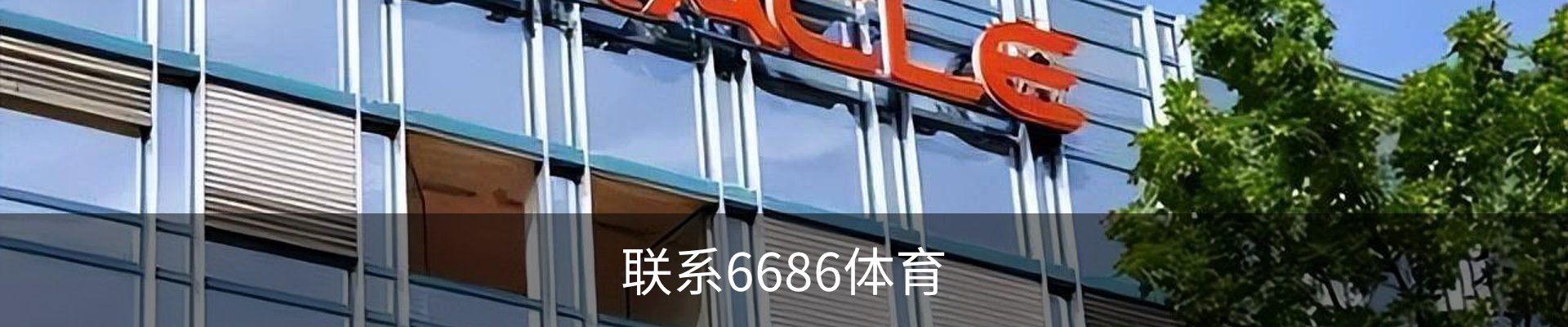 联系6686体育